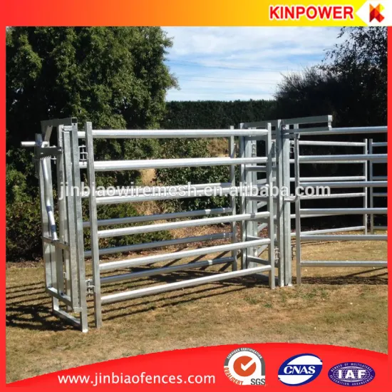 Hot dip galvanized Cattle Yard