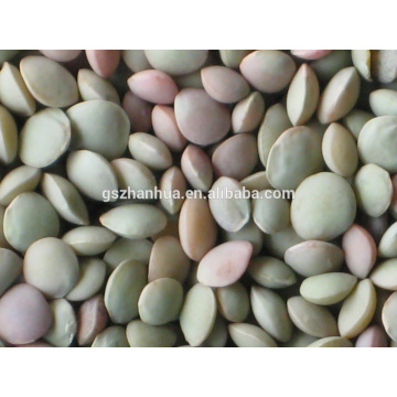 2015 Crop Wholesale Lentils