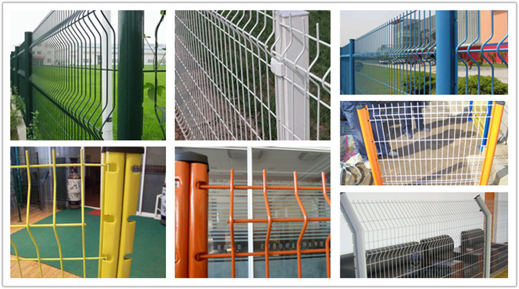 PE Dipped Coating Curves Wire Mesh Fence