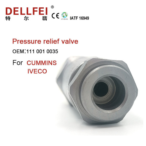 Valve de limiteur de pression de rail commun 111 001 0035