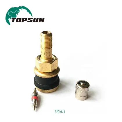 Truck and Bus Tubeless Valve Stems Metal Valve Adapters