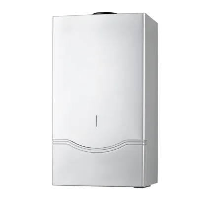 Mechanical Balanced Type gas water heater