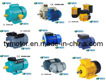 Electric Motor (Y, Y2, YC, YCL, JY, ML, MS, MY)