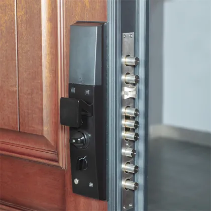 Exterior Double Main Door Carving Design: Armored Aluminum and Wood Doors