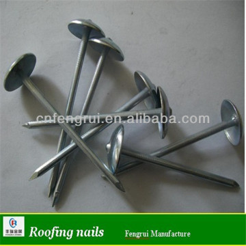 BWG9X2.5'' twisted roofing nail