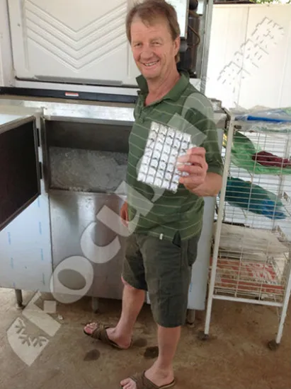 edible ice making machine / cube ice machine