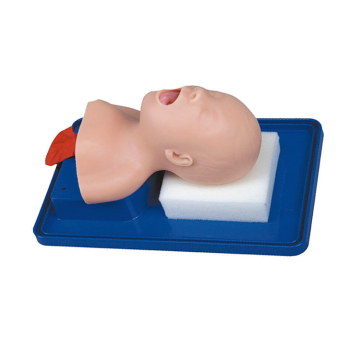 SC-J2A Neonate Head Trachea Intubation Manikin for Advanced PVC Medical Practice