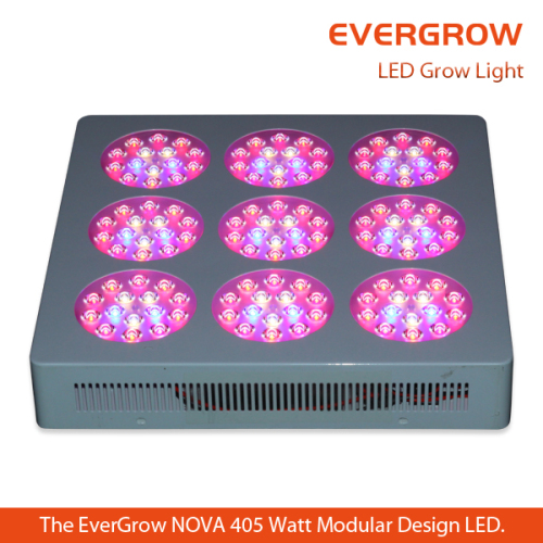 New Full Spectrum CE RoHS LED Grow Lights