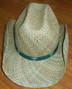 Sea Grass Straw Promotion Hat (06)