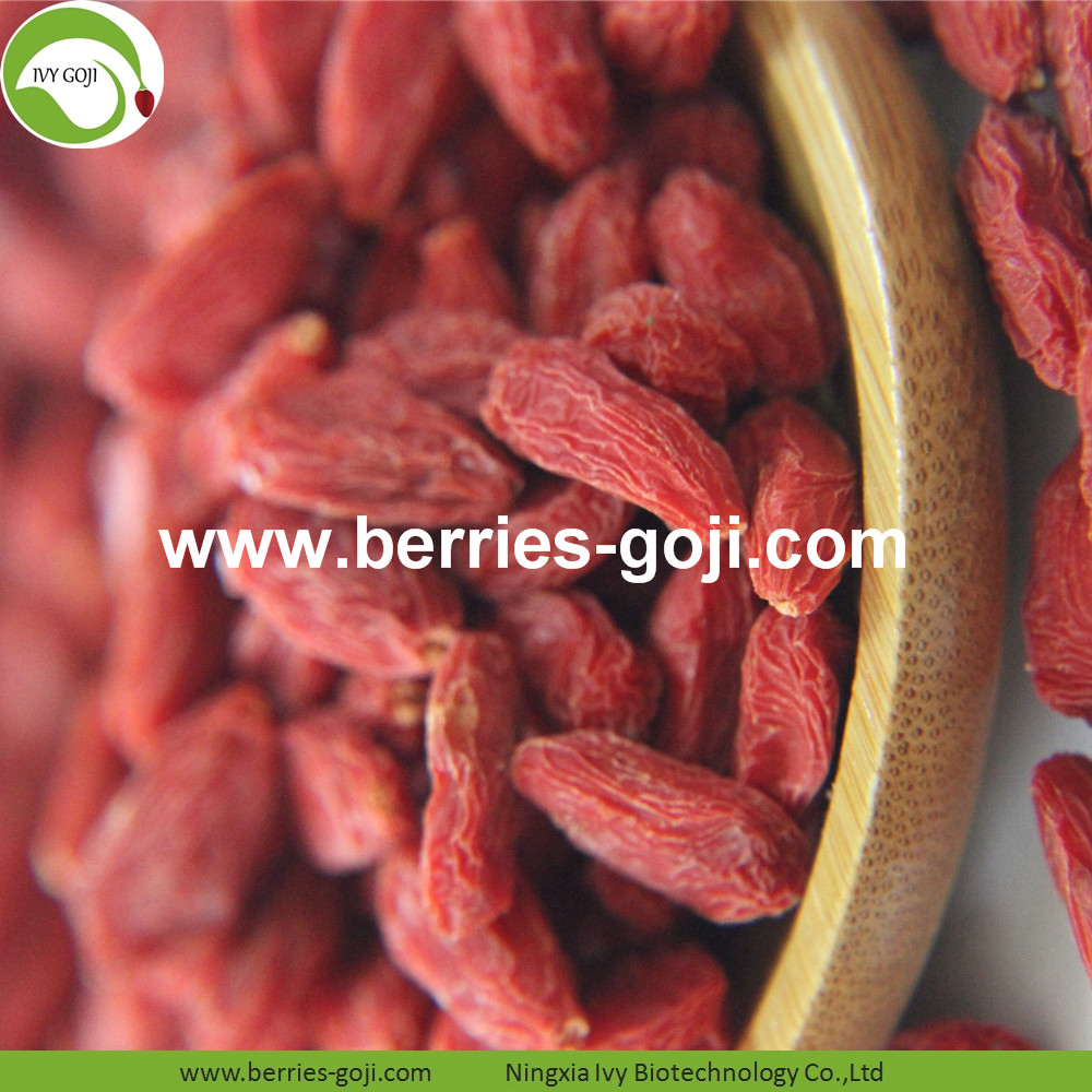 Common Goji Berries