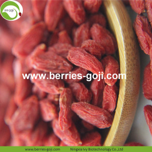 Confezione regalo Vitamine naturali di nutrizione Bacche di Goji comuni