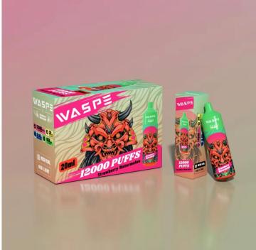 Popular Waspe 12000Puffs Hot Vape France