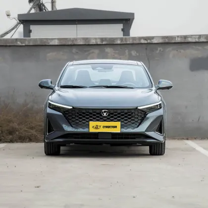 2023 Raeton Plus 1.5T DCT Flagship Model