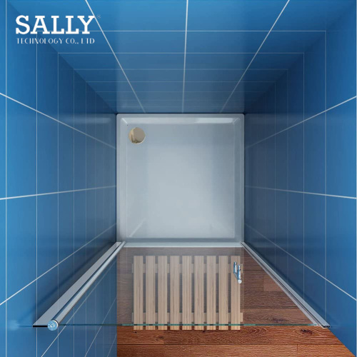 Sally Salle de bain Réunion de la salle de bain Douche de la porte de 6 mm pivotée de 6 mm