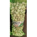 Günstiger Knoblauch ca. 8 USD pro Karton