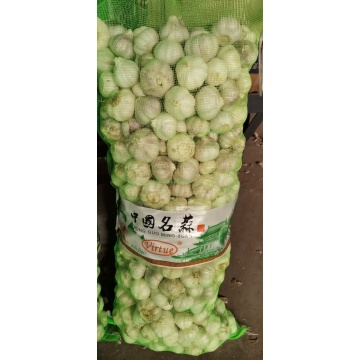 Günstiger Knoblauch ca. 8 USD pro Karton