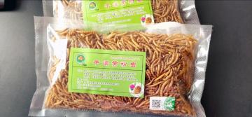 Mealworms with high quality protein