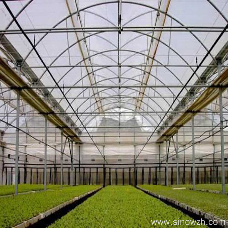 Design agriculturial glass steel structure greenhouse