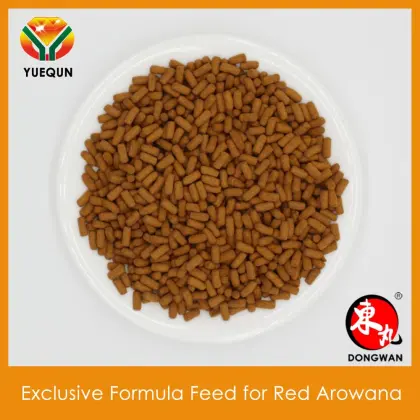 Compound feed for Red Arowana