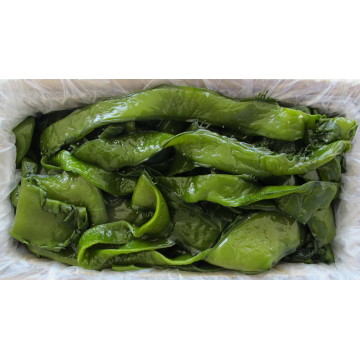 Wakame Perdita di peso cruda di alghe