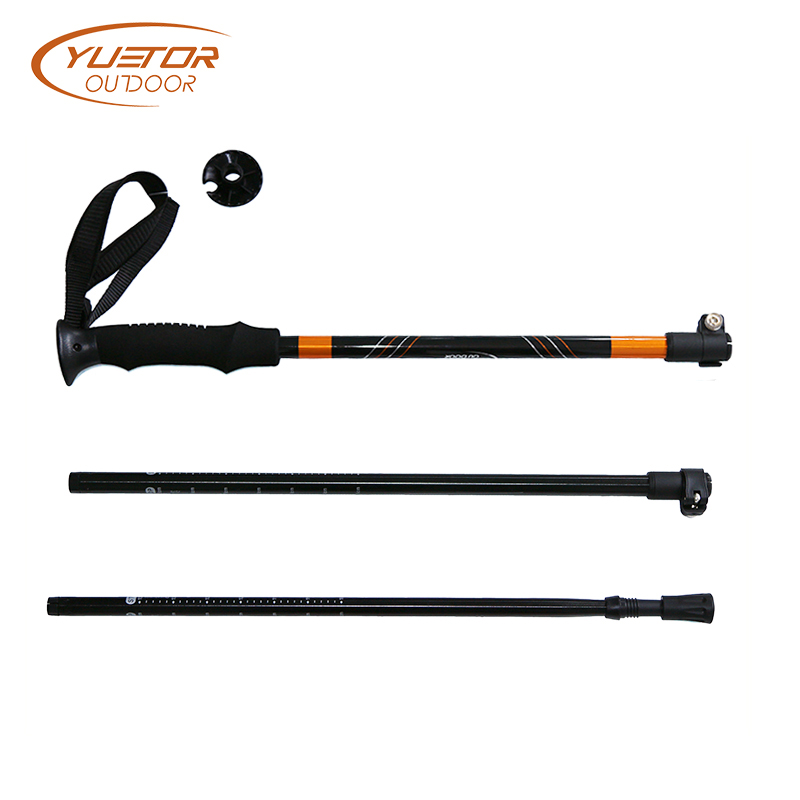 2019 Update Trekking Poles