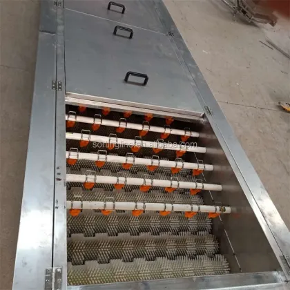 High Speed Automatic Brush Washing Machine for Shellfish