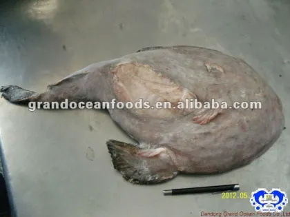 wild monkfish tail meat