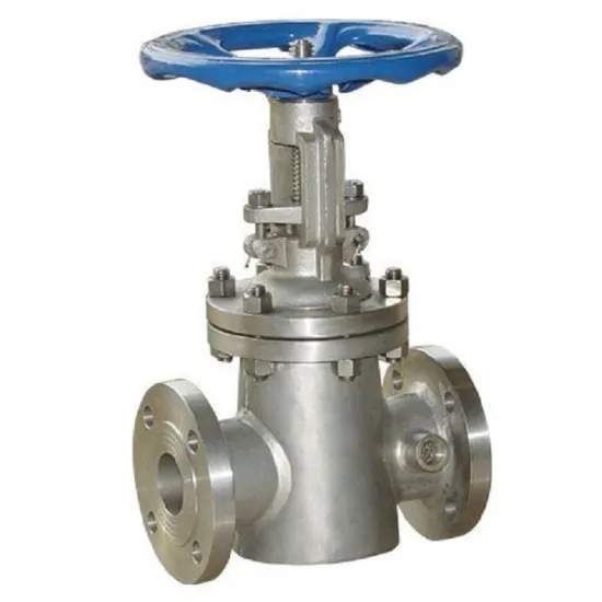 Cast Steel Jacket Gate Valve