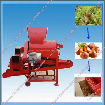 Automatic Hazelnut Peeling Machine From Direct Factory