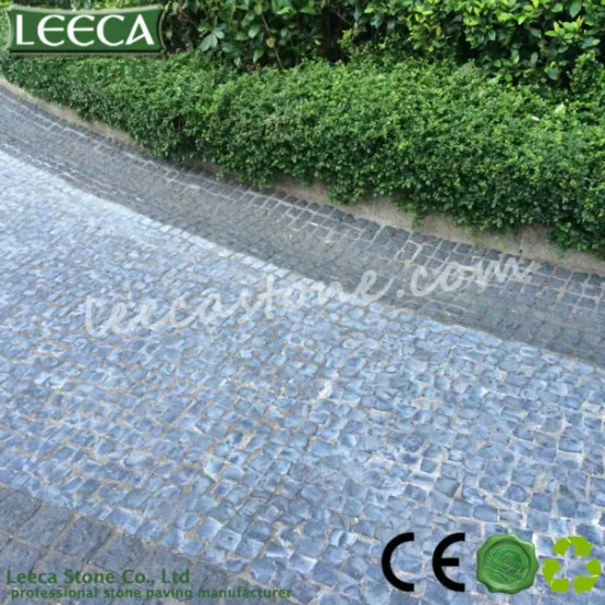 Garden walkway mesh paving stone