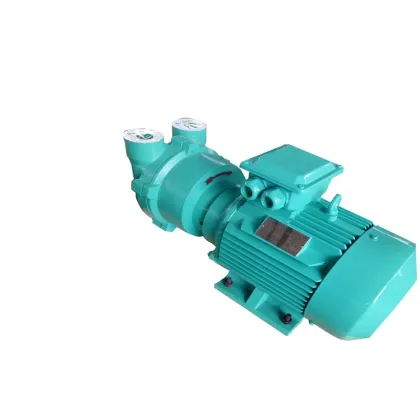 Siemens Elmo F 2BV2 Liquid Ring Vacuum Pump