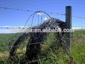 ANJIA tree protection hot dipped galvanized barbed iron wire fence price per roll(ISO9001 factory)
