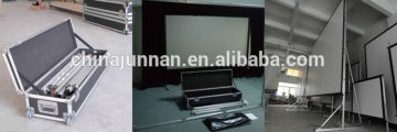 300 inch projector screen