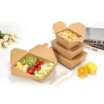 Custom Kraft Paper Disposable Lunch Salad Box