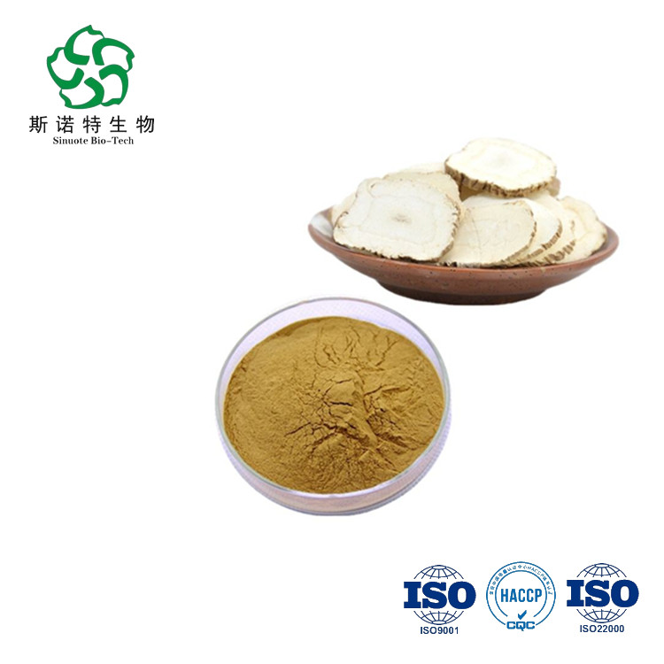 ISO zertifiziert Angelica Root Extract Pulver