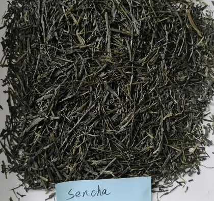 sencha/sencha green tea/green tea sencha OP
