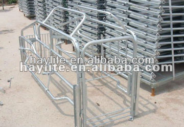 Pig galvanized gestation crate