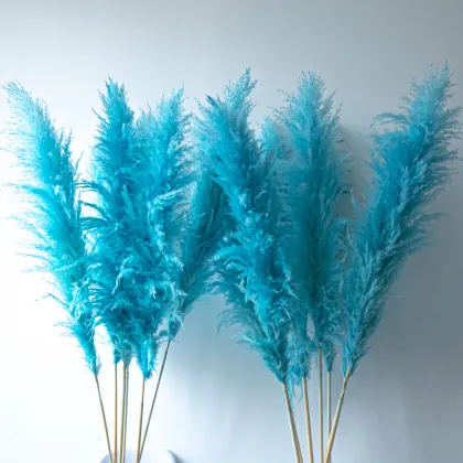 Turquoise Blue Dried Pampas Grass Bouquet - Arco Flores