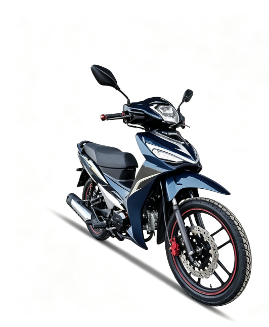 All Terrain Electric Bike Speed