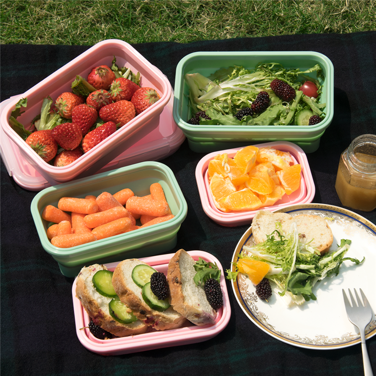 folding lunch box (17)