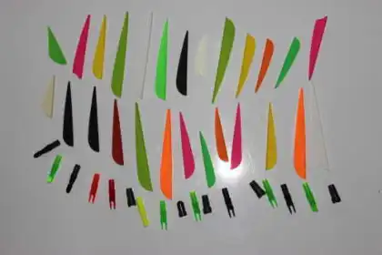The Arrow Turkey Feather 