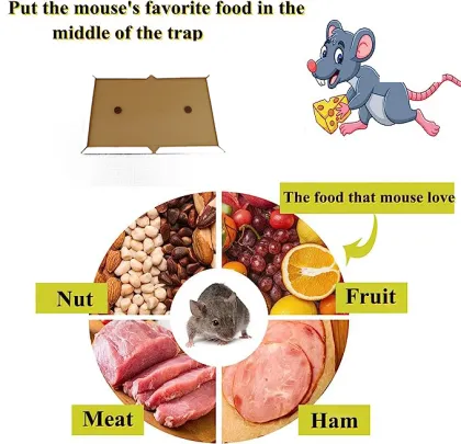 Humane Pest Control Glue Trap - Effective Rat and Mouse Trap