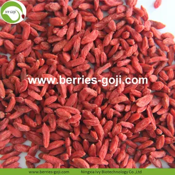New Wholesale Dried Low Pesticide Goji Berries