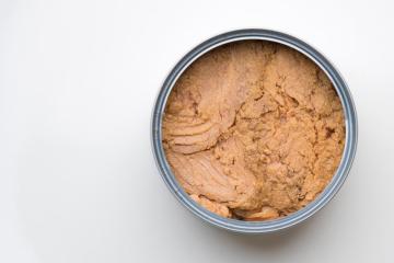 Canned Tuna in Vegetable Oil