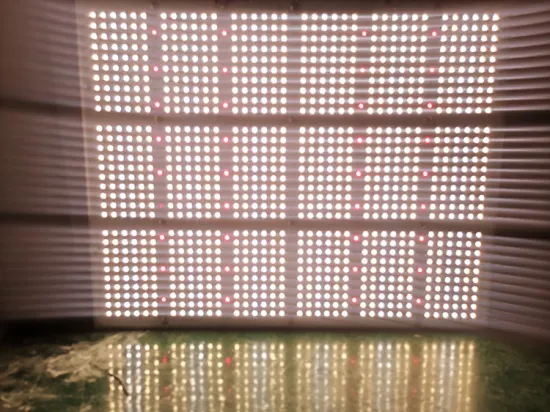 Best Quality Full Spectrum 1000W Grow Light