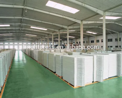 beer filter press plate