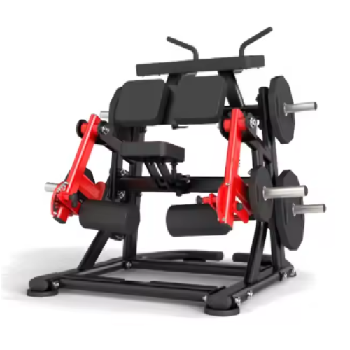 Plate Loaded Lateral Raise Commercial Used