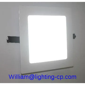 Dual purpose Panel light