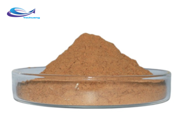 Costus Root Extract