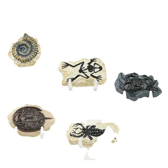 Archaeology and Paleontology Exploration: The Ultimate Toy Dig Kit for Children's Manual Fossil Unboxing Experience